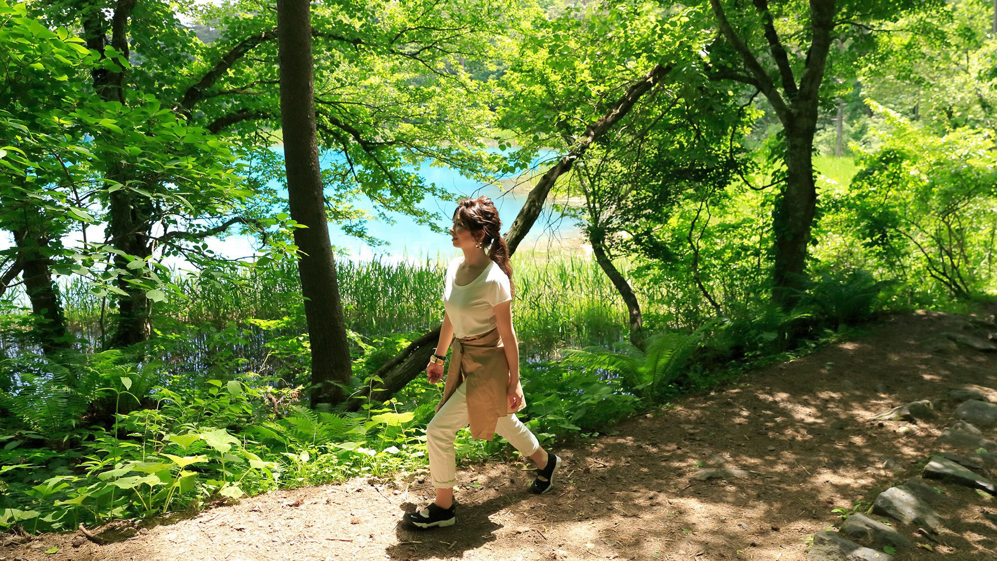 【五色沼】自然探勝路は、全長約3.6km。片道約1時間30分程度。比較的平坦なハイキングコース。