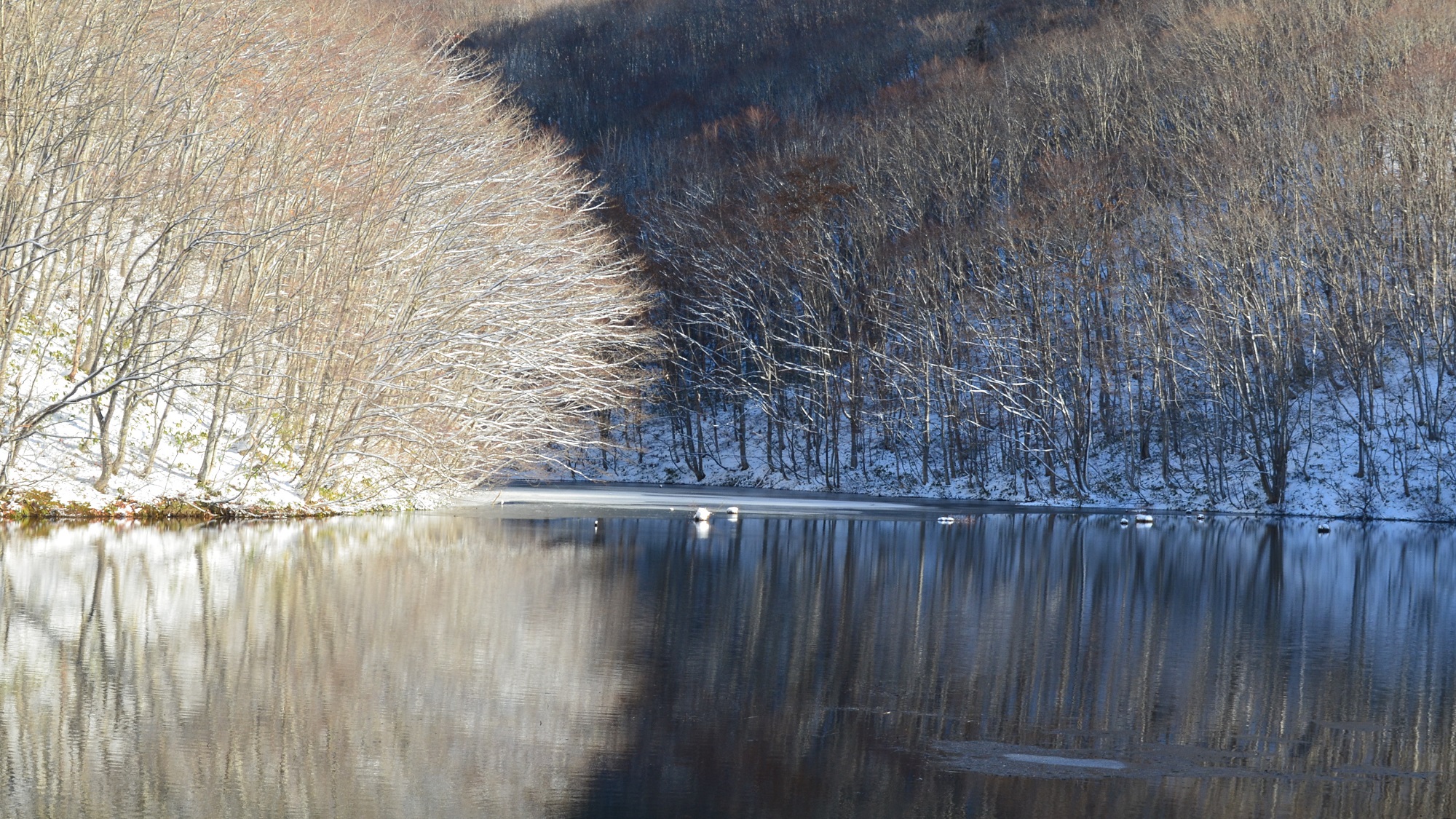 【冬の曲沢沼】紅葉名所は雪景色も美しい。水没樹が雪に覆われ、湖面にミニかまくらがたくさん見られます