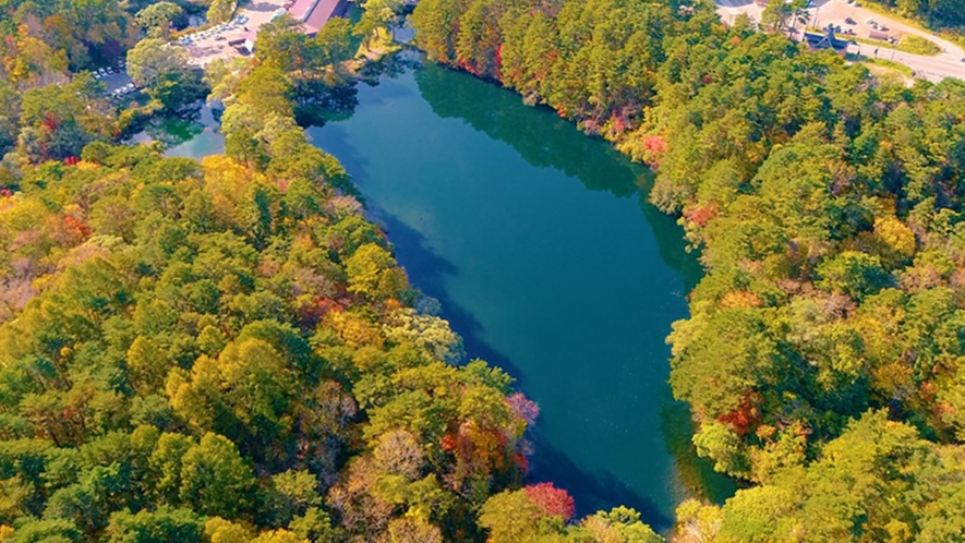 【秋の五色沼】湖の青と色づいた木々の赤のコントラストが美しい。当ホテルから徒歩3分。