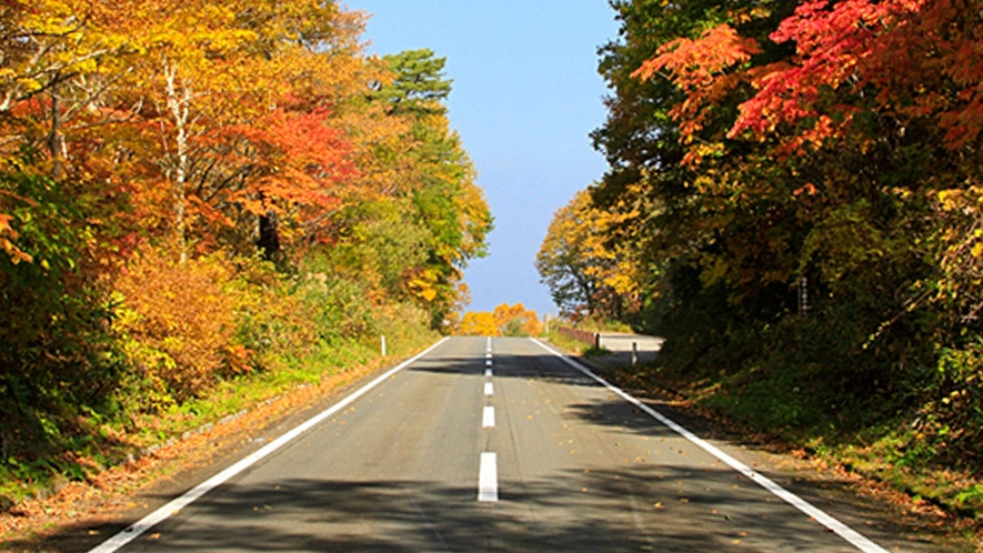 【秋の磐梯山ゴールドライン】お車やオートバイでのドライブにオススメです。