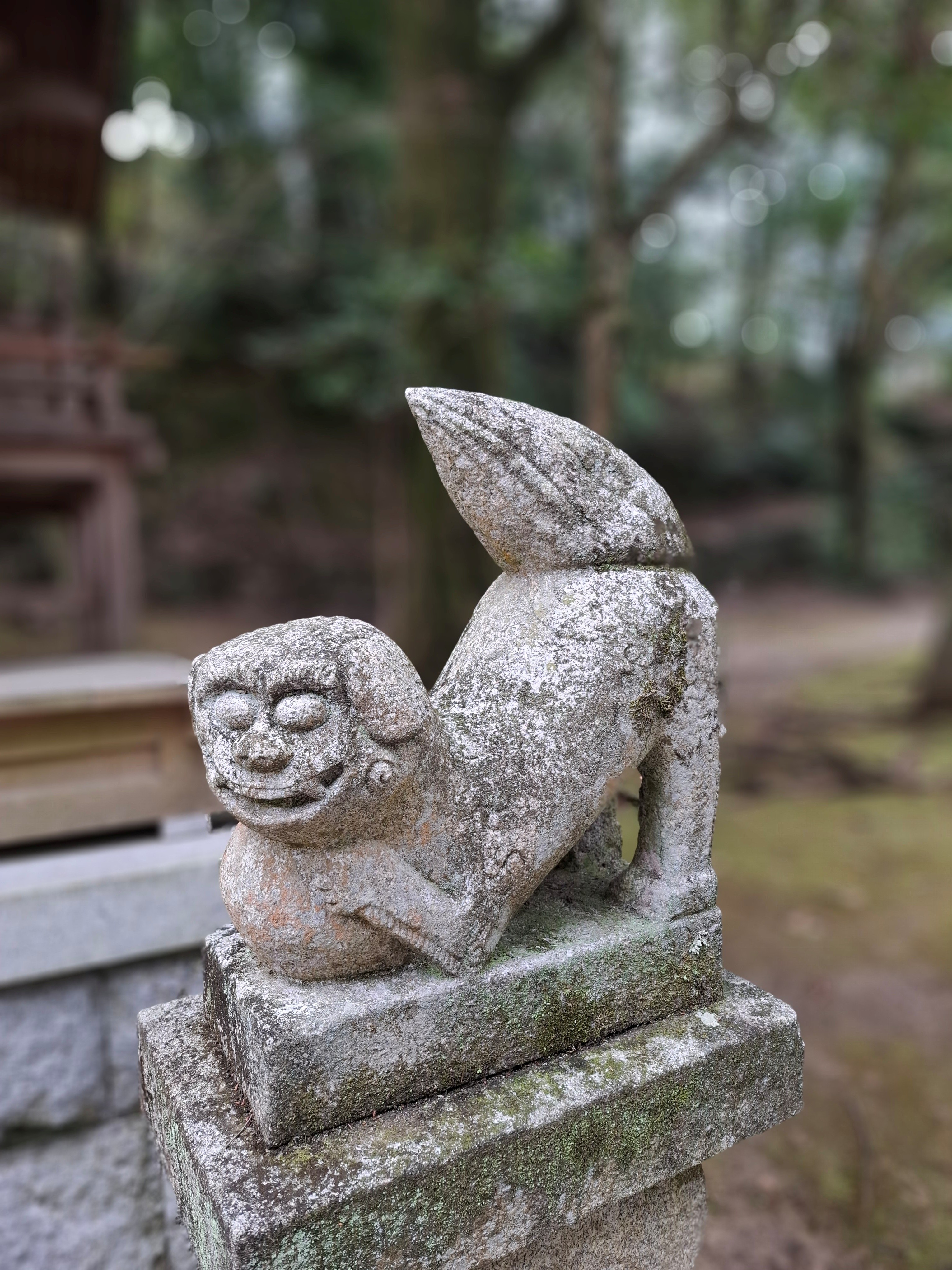 狛犬１