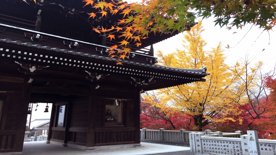 お山から下りてきた紅葉は、境内を美しく彩ります。（2018年11月撮影）