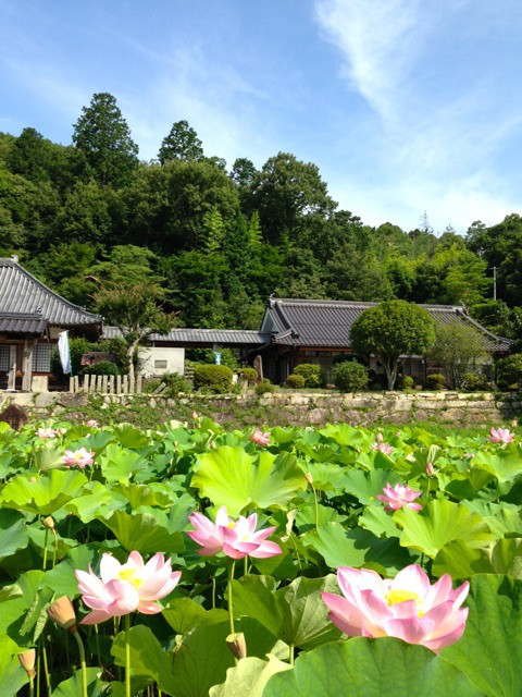 棲真寺　車で15分