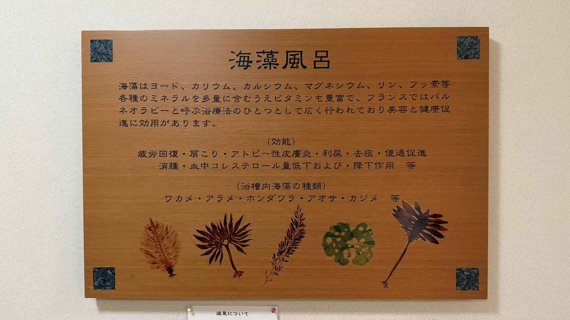 海藻風呂のご案内｜ミネラルたっぷり