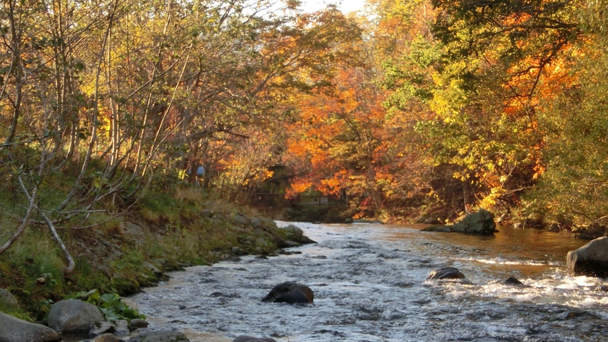 【秋の長流川】当館の目の前を流れる川と美しい紅葉。