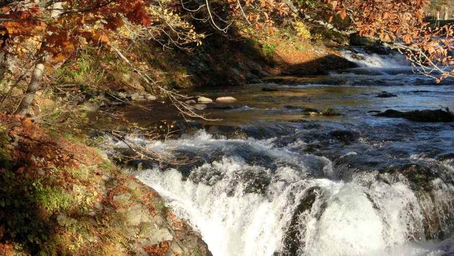 【秋の三階滝】紅葉のピークを過ぎ、川面に葉を落とす晩秋の三階滝。