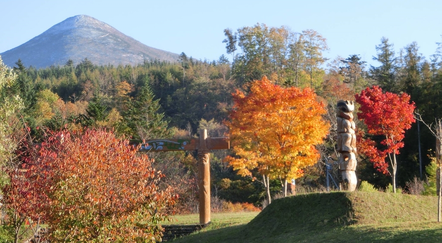 【秋の三階滝公園】色とりどりの紅葉が賑やかに公園を彩ります。