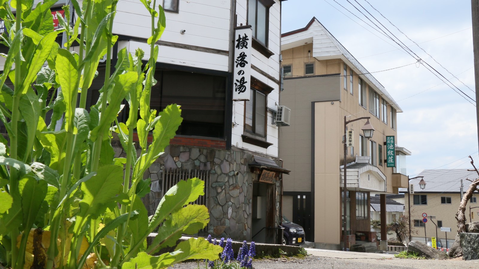 【女将手打ちの富倉そば】地のものを食べるならコレ！！野沢の食を堪能♪《お土産付》［1泊2食］