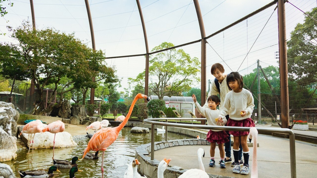 久留米市鳥類センター