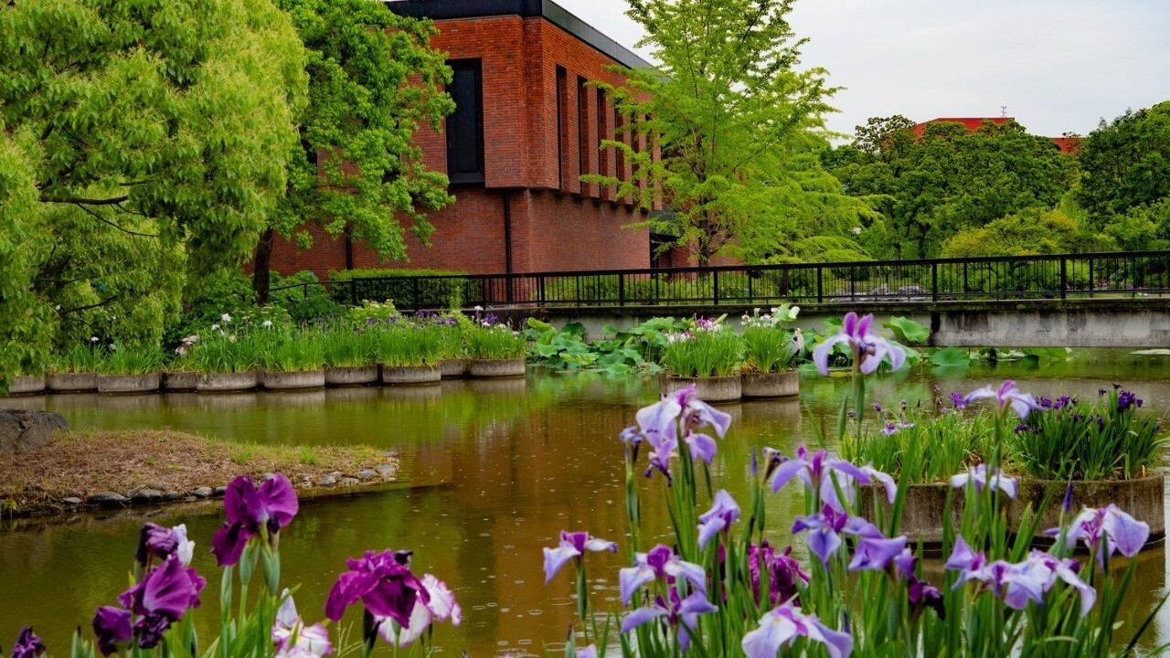 石橋文化センター