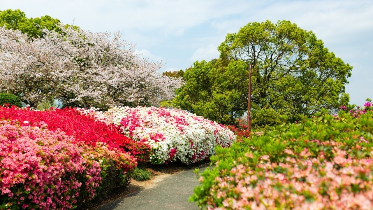 久留米百年公園