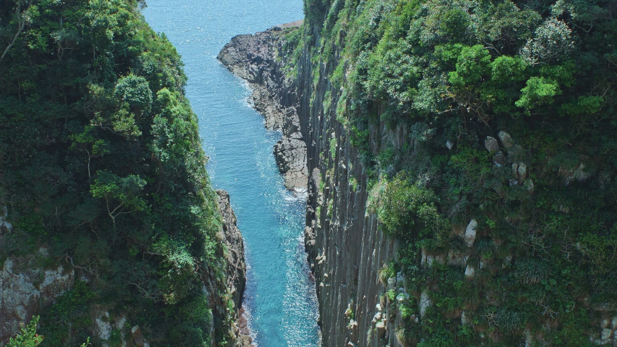 日向岬　馬ヶ背の断崖絶壁（ホテルより車で約15分）
