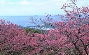 写真5