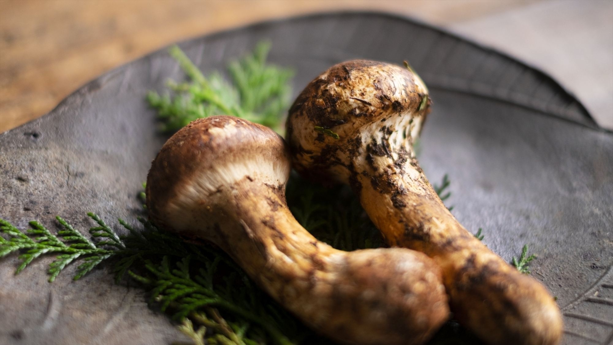 【松茸プラン】松茸の釜飯＋茶碗蒸し付き！秋の味覚満喫◆11/30まで！選べる牛肉orあわび