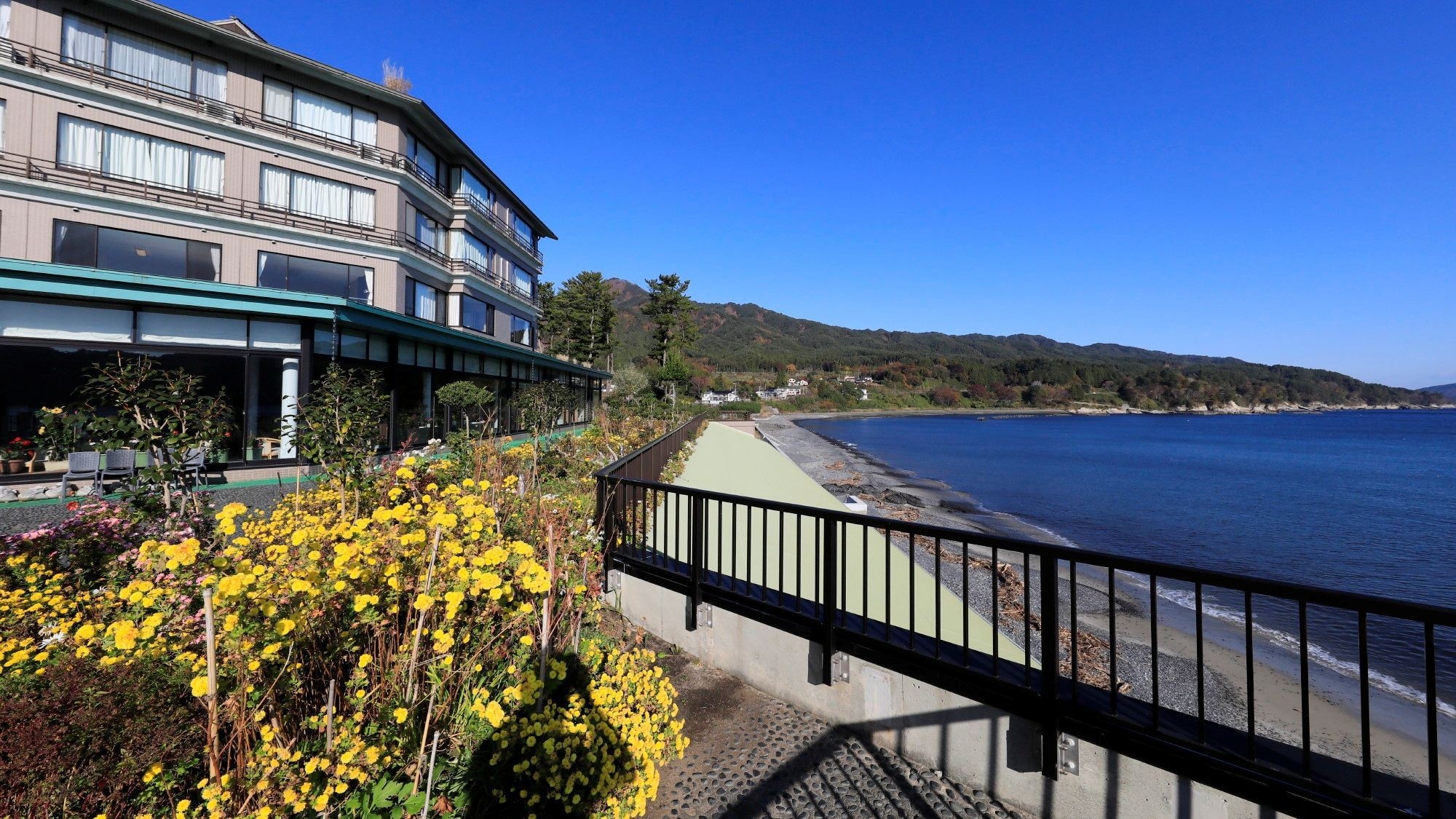 【限定1室】＜２食付き＞５階スイートルームからのオーシャンビューと旬の海の幸で三陸を満喫