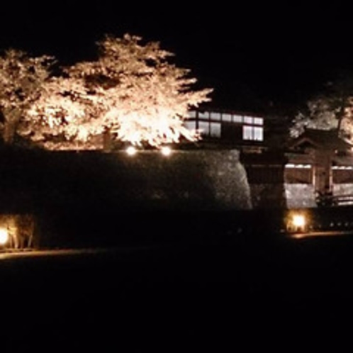 松代の観光-夜桜