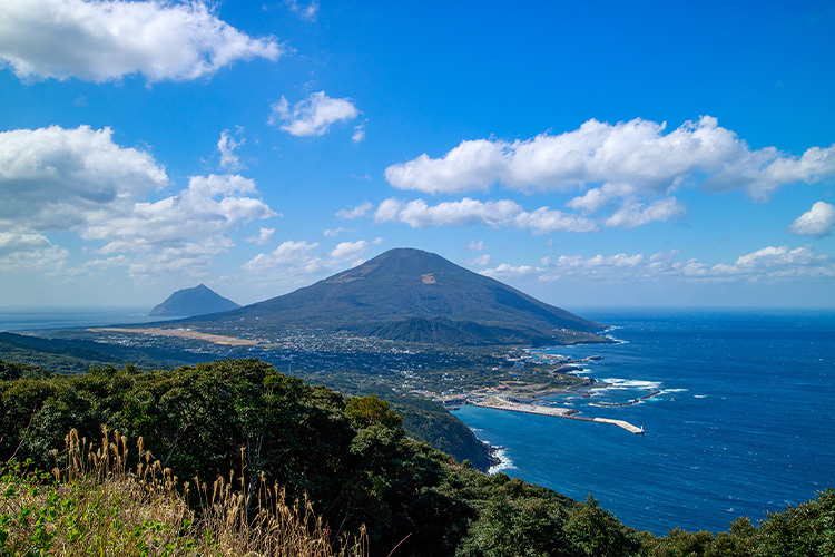 Jal国内線 マイルがたまる国内ホテル一括検索 リードパークリゾート八丈島 八丈島 東京都 八丈島