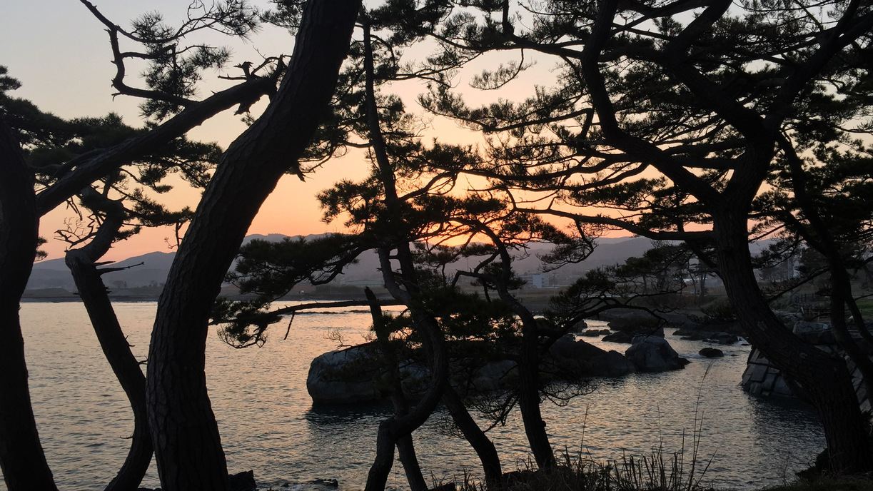 朝陽にきらめく水平線を眺めながら♪栄養＆ボリューム満点朝ごはんを満喫／朝食付[現金特価]