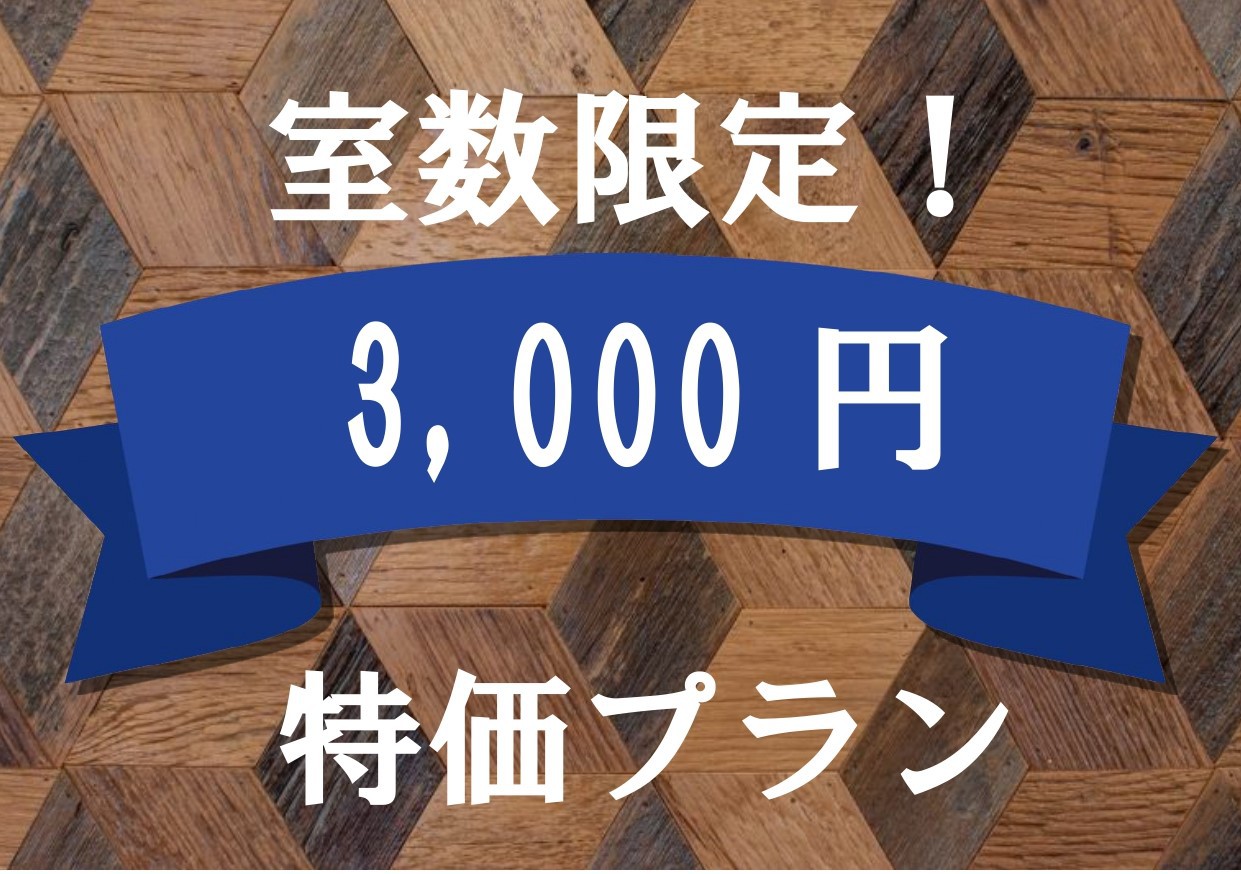 ■1日1室限定訳あり3000円プラン【事前カード決済・喫煙・禁煙指定不可】