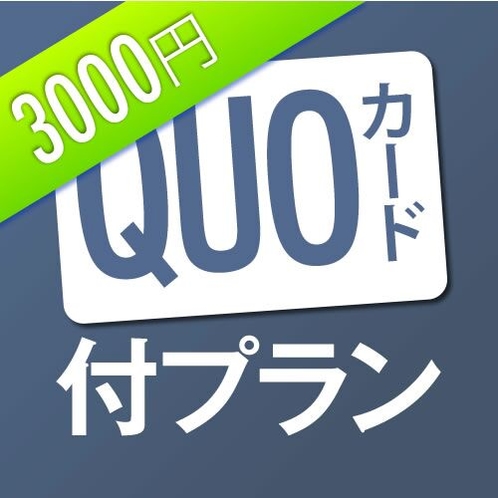 QUO3,000円プラン