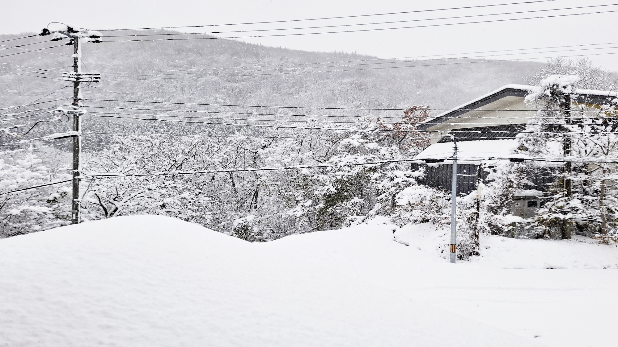 *当館からの眺め