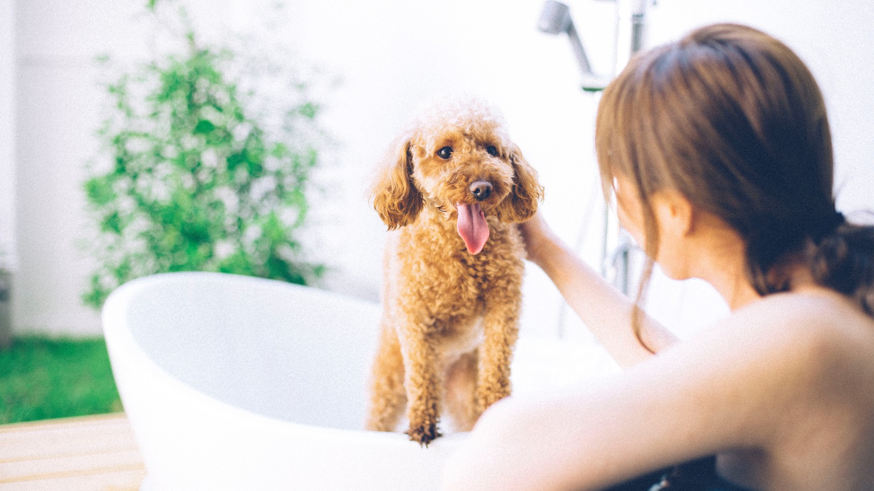 ★愛犬と露天風呂