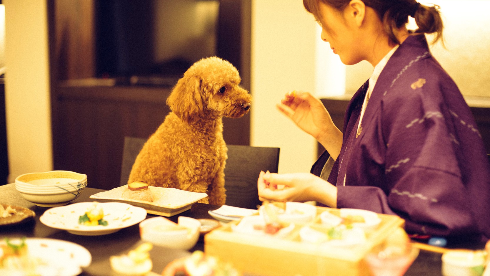 【5％OFF】【楽天スーパーSALE】〜愛犬とひとつになれる旅〜露天風呂＆部屋食で休日を満喫♪