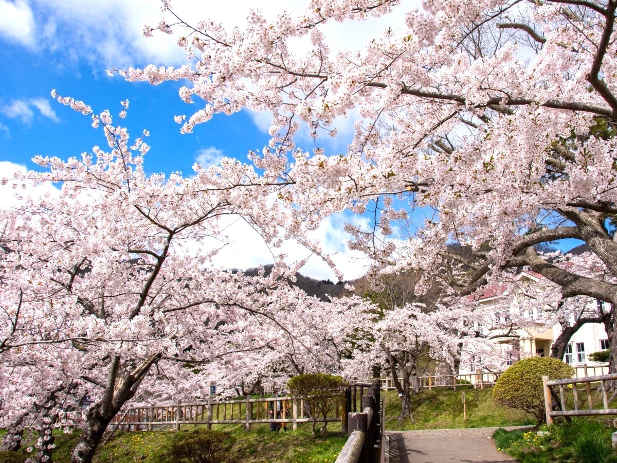 【春旅 / ファミリー応援】4名利用でお得！元町・ベイエリア観光を満喫（素泊まり）　