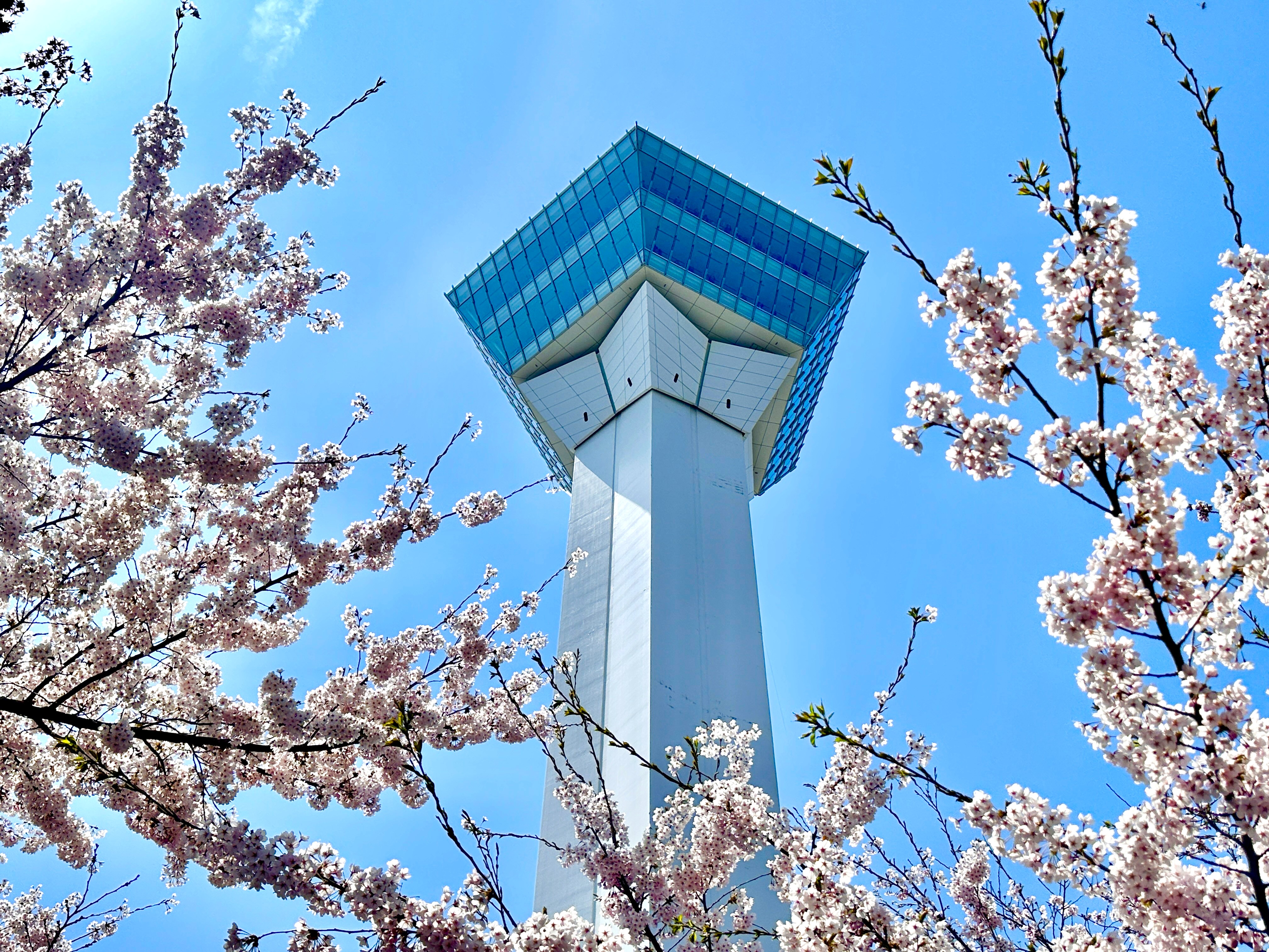 【周辺観光】五稜郭タワー