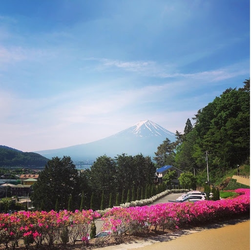 【見つけたあなたはお得に宿泊】日付限定・チェックイン17：00・夕食19：45の訳ありプラン