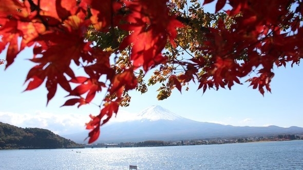 【スタンダード】洗練された客室と自慢の夕朝食で癒しの旅を〜南仏プロヴァンス薫る館で贅沢なひととき〜