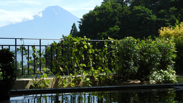 【客室風呂付/富士山ビュー】3名お部屋おまかせ＜トリプル＞ 
