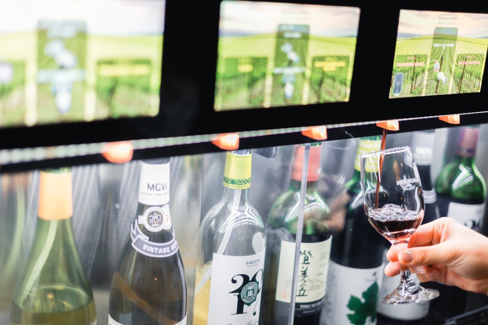 【ワインカード付】富士山を望みながらお好きなワイン、いかがですか？(夕朝食付)