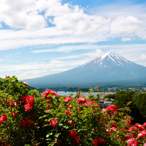【眺望】ロビーから