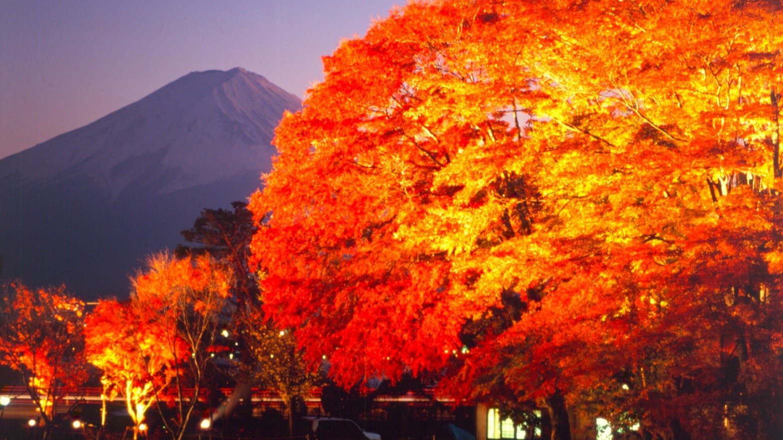 もみじ回廊と富士山