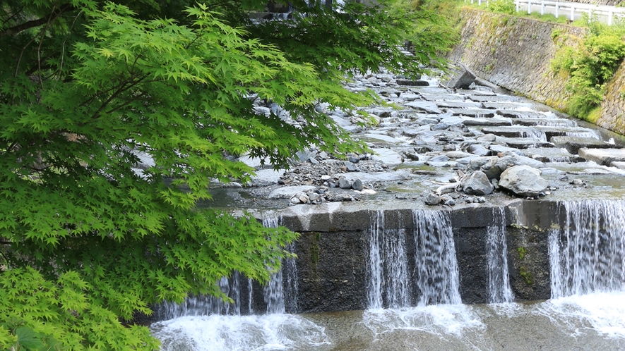 周辺の新緑も美しい