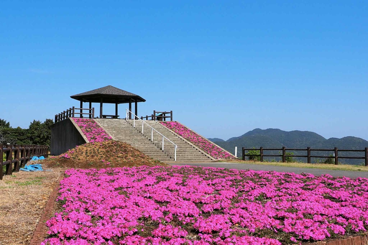 空の公園展望台