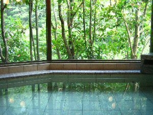 【GW限定】和歌山産ブランド熊野牛ステーキ！地元の食材や郷土料理を味わう＜グレードUPコース＞