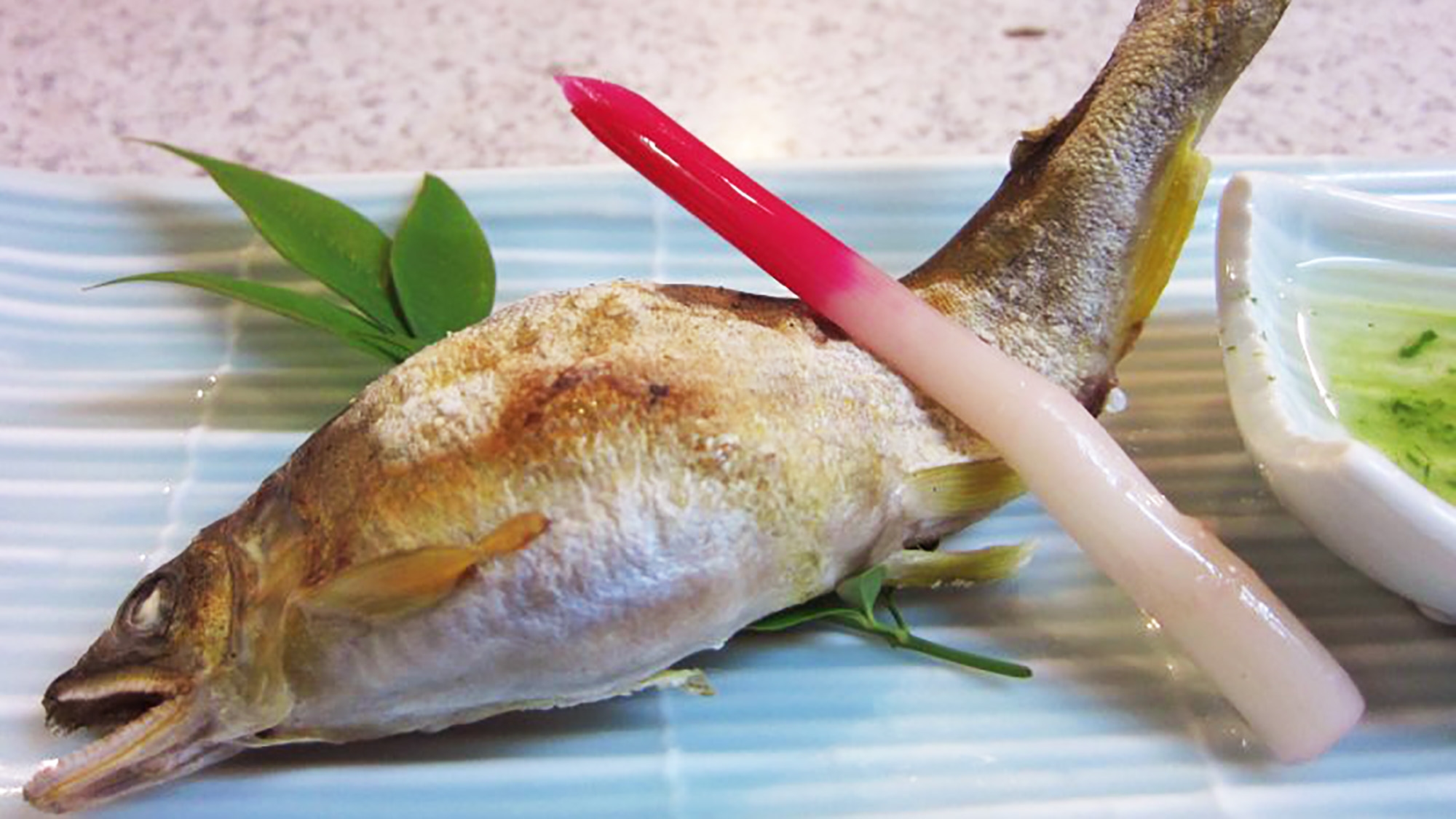 【GW限定】ー龍神温泉ー日本三大美人湯！地元の美しい食材で癒しの休日＜スタンダード＞