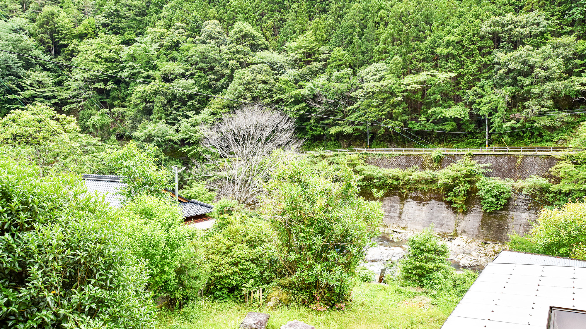 **【和室12畳】お部屋からの景色