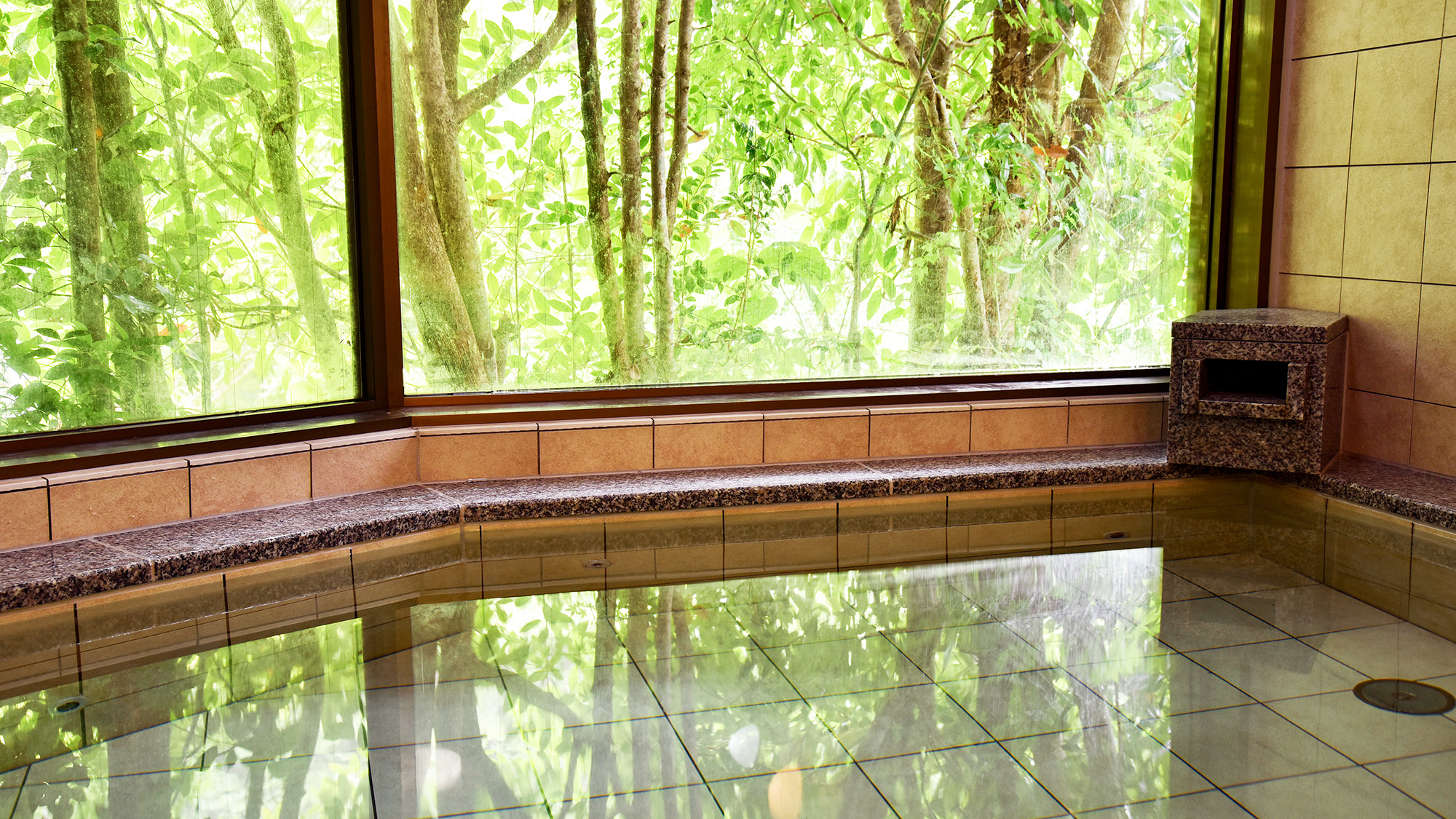 **【大浴場（男湯）】日本三美人の湯「龍神温泉」★良質な温泉でお肌がスベスベに♪