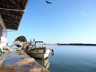 浅茂川漁港