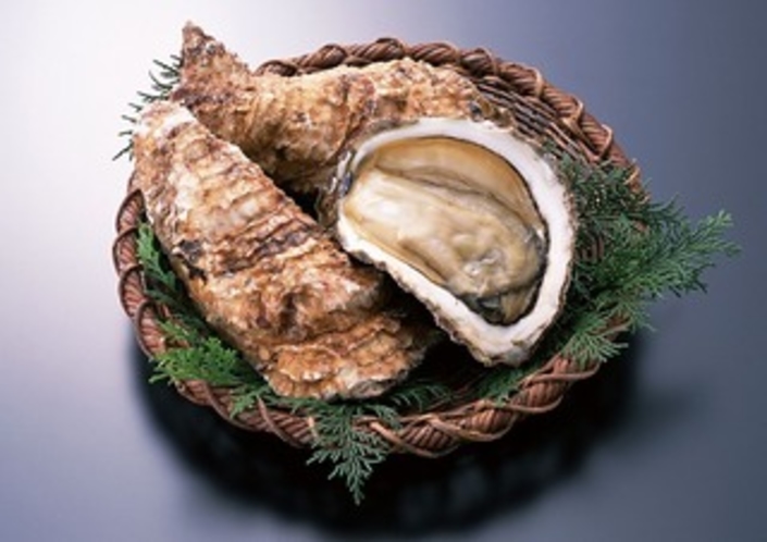 大きくて美味しい夏のカキ「岩牡蠣」