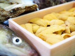 夏の丹後味「赤ウニ」