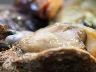 初夏に美味しい岩牡蠣
