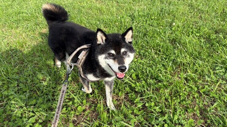 愛犬と宿泊可能♪