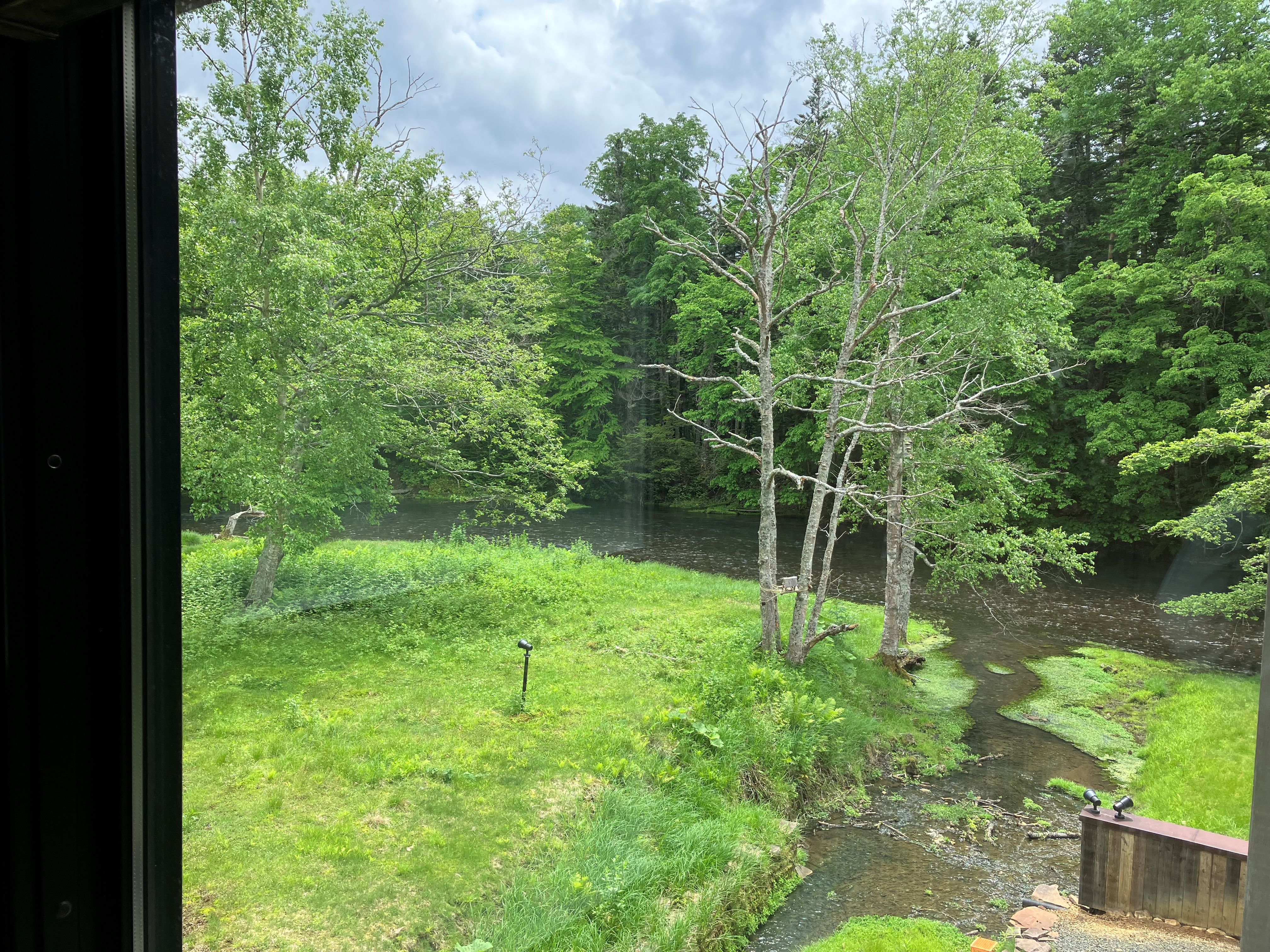 森側デラックスダブルからの眺め