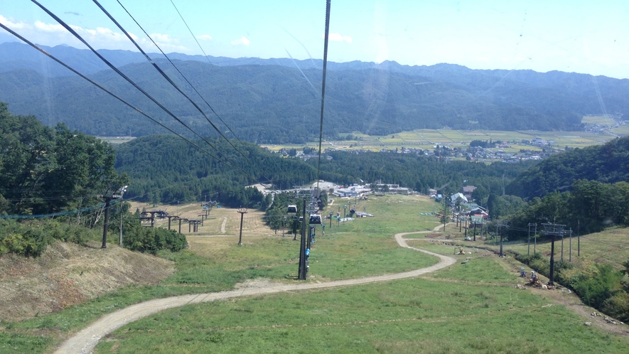 【白馬五竜ゴンドラ】色とりどりの高山植物と雄大な北アルプスの景色を見に行こう！