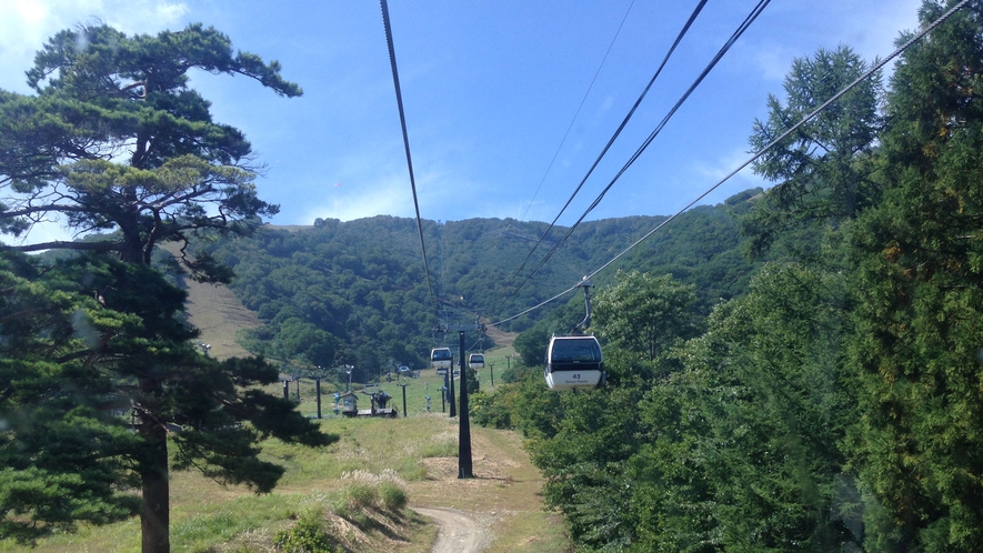 【白馬五竜ゴンドラ】色とりどりの高山植物と雄大な北アルプスの景色を見に行こう！