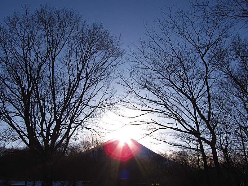 ■富士芝桜まつりに一番近い宿、新緑の朝霧高原と春の花を楽しむ。